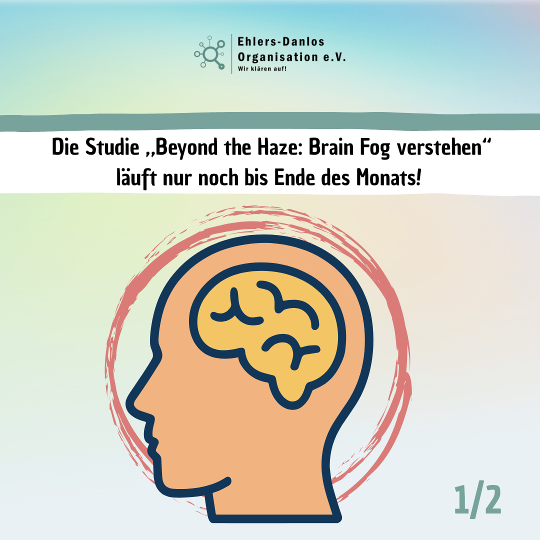Letzte Chance zur Studienteilnahme! 