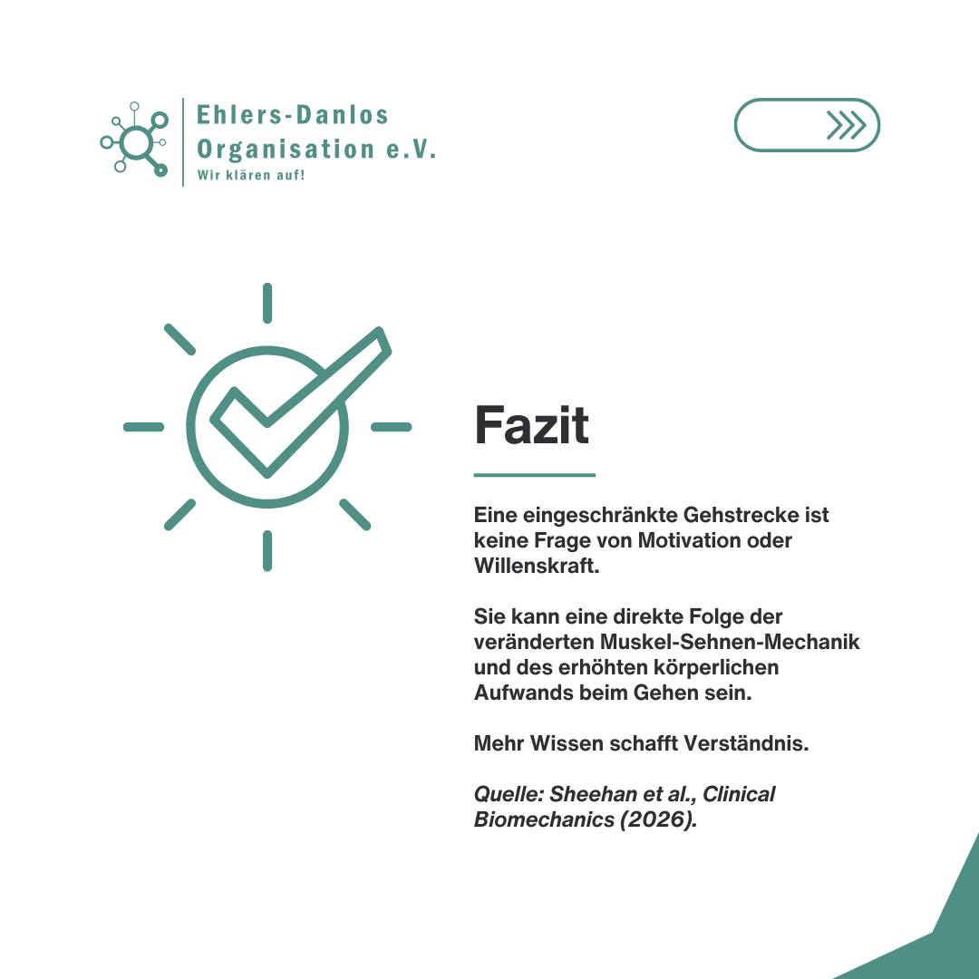 Nicht jede Gehstrecke bedeutet die gleiche Belastung 10
